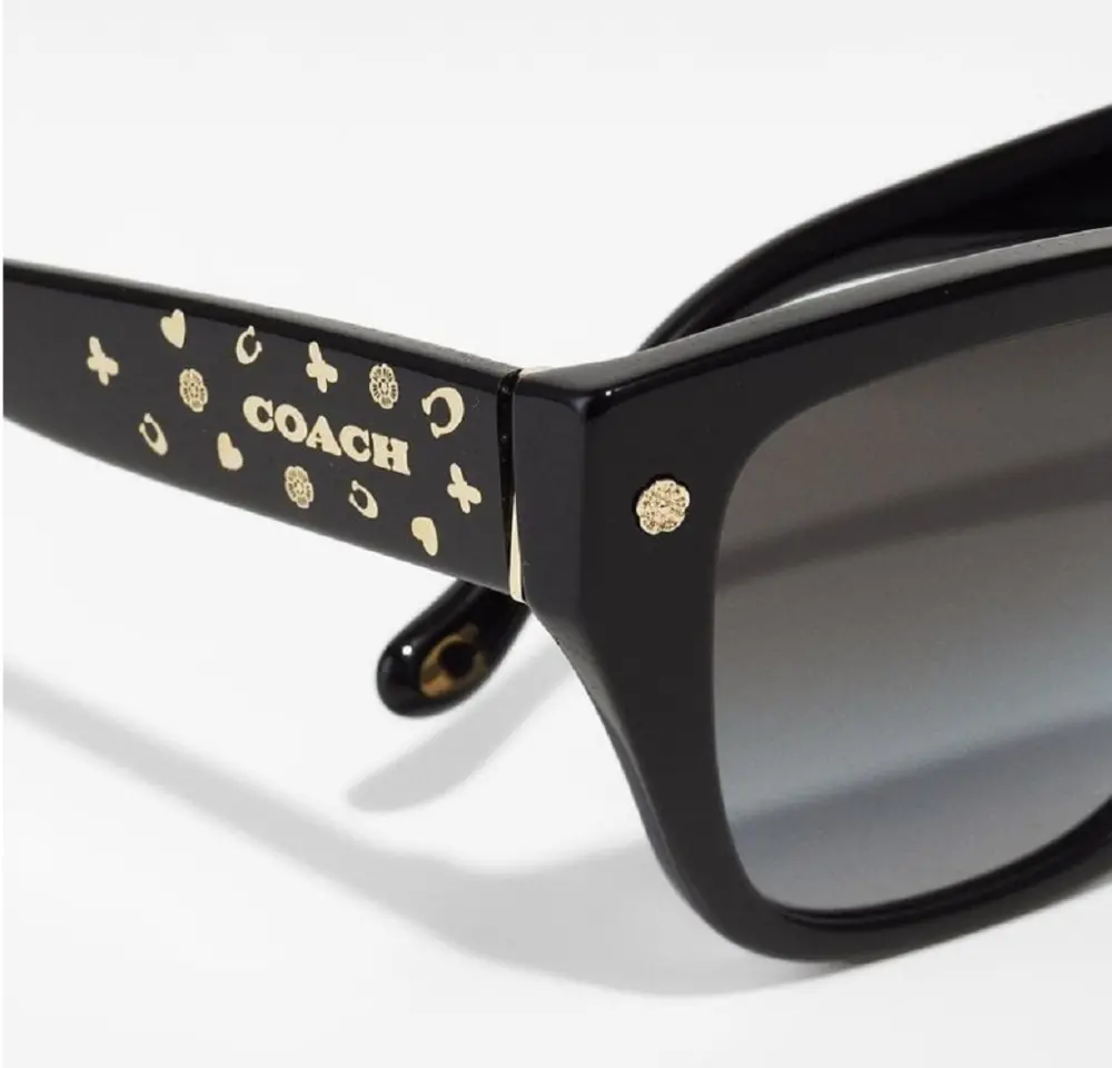 Kính Coach Sunglasses ‘Black’ 0HC8439U-500287 - Ảnh 4