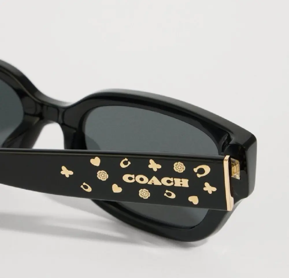 Kính Coach Sunglasses ‘Black’ 0HC8439U-500287 - Ảnh 2