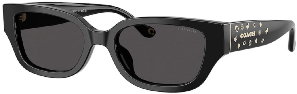 Kính Coach Sunglasses ‘Black’ 0HC8439U-500287