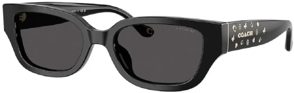 Kính Coach Sunglasses ‘Black’ 0HC8439U-500287