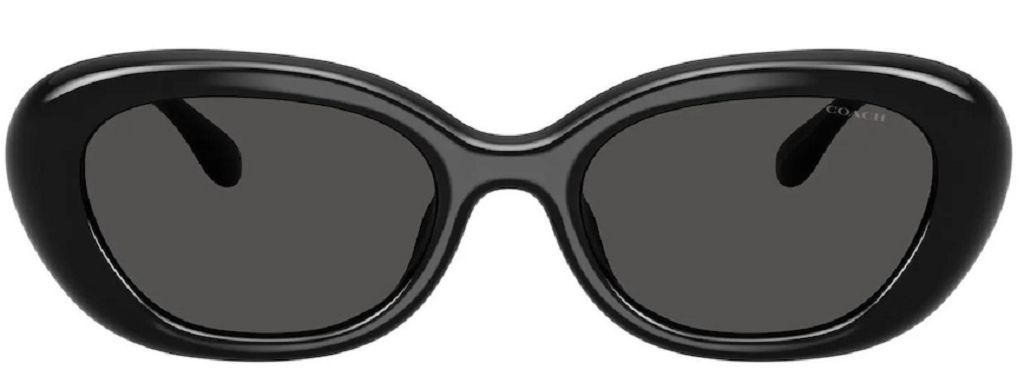 Kính Coach Sunglasses ‘Black’ 0HC8448U-500287