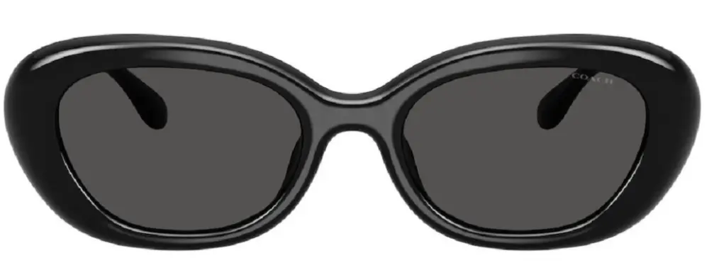 Kính Coach Sunglasses ‘Black’ 0HC8448U-500287