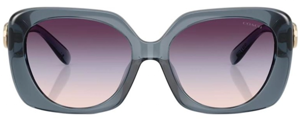 Kính Coach Sunglasses 'Grey' 0HC8422U-5871U7