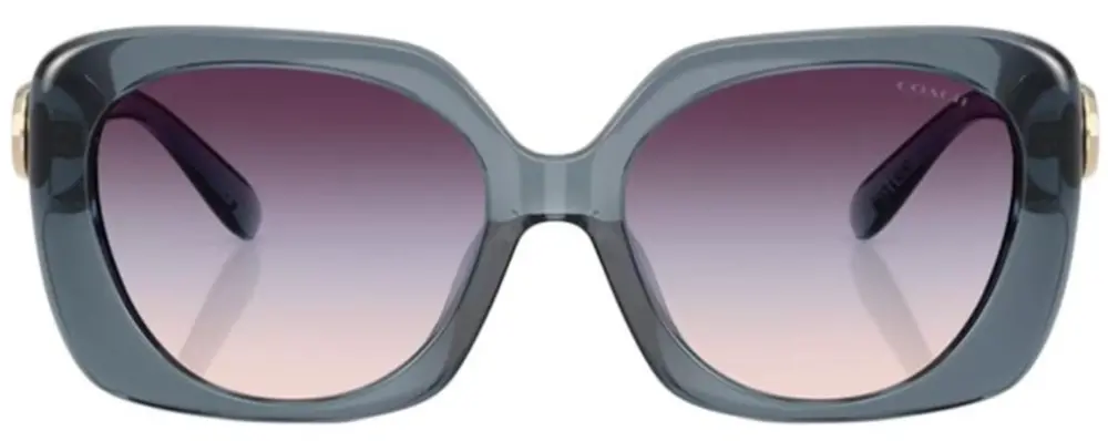 Kính Coach Sunglasses 'Grey' 0HC8422U-5871U7