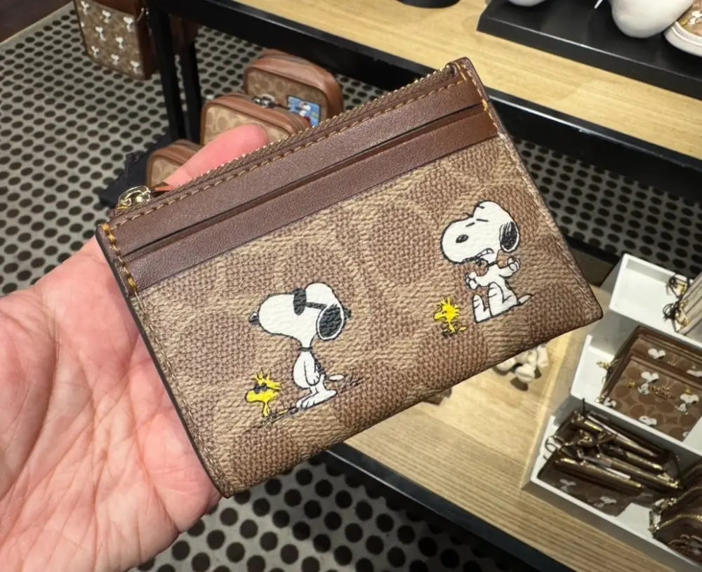 Ví Coach X Peanuts Mini Skinny Id Case ‘Brown’ CBT14-IMY3O - Ảnh 4