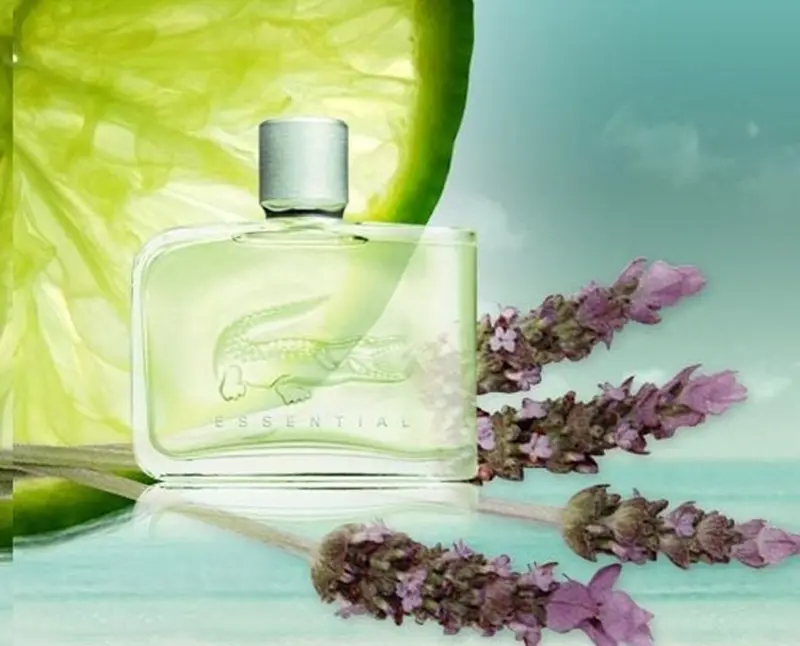 Nước Hoa Lacoste Essential Pour Homme EDT - Ảnh 4