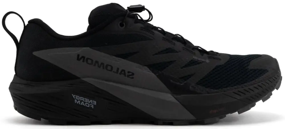 Giày Salomon Sense Ride 5 GTX ‘Black’ L47147200