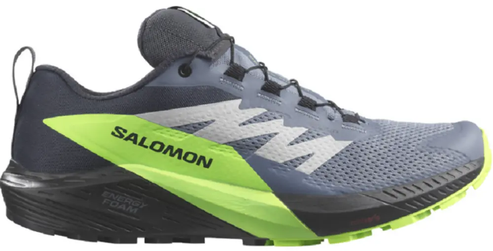 Giày Salomon Sense Ride 5 GTX ‘Grey’ L47312800