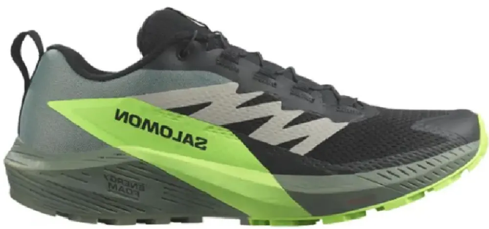 Giày Salomon Sense Ride 5 ‘Green’ L47311100