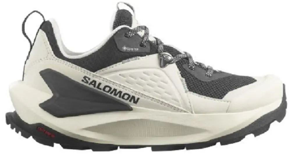 Giày Salomon Elixir 'Black White' L47296700