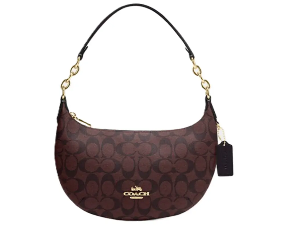 Túi Coach Payton Hobo In Signature Canvas ‘Oxblood Multi’ CE620-IMFCG