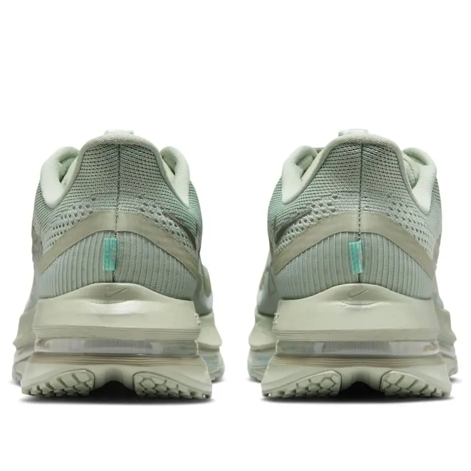 Giày Nike Pegasus Premium 'Jade Horizon' HQ2592-300 - Ảnh 3