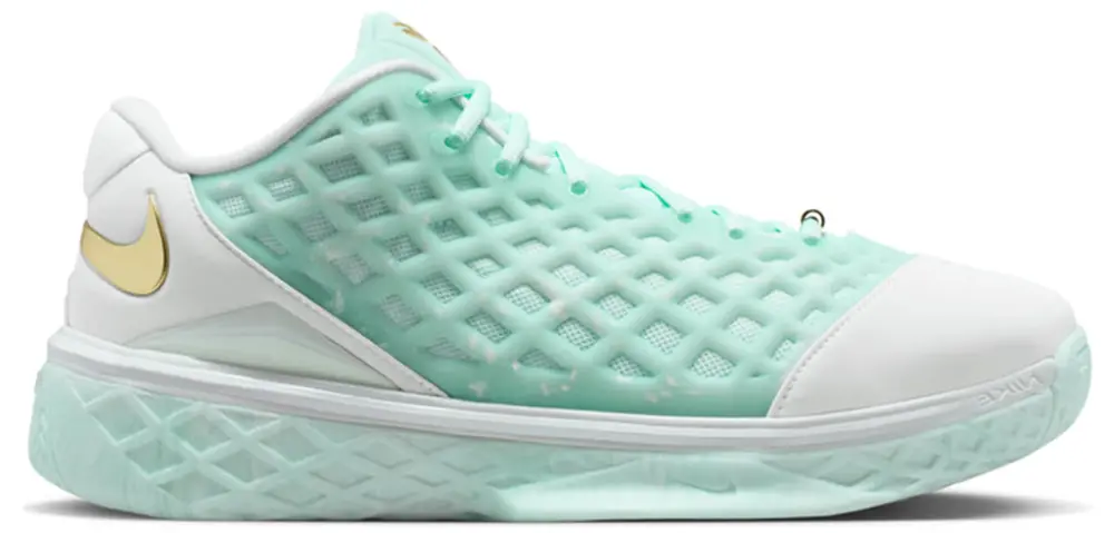 Giày Nike Kobe 3 Low Protro 'CHBL' IX2017-100