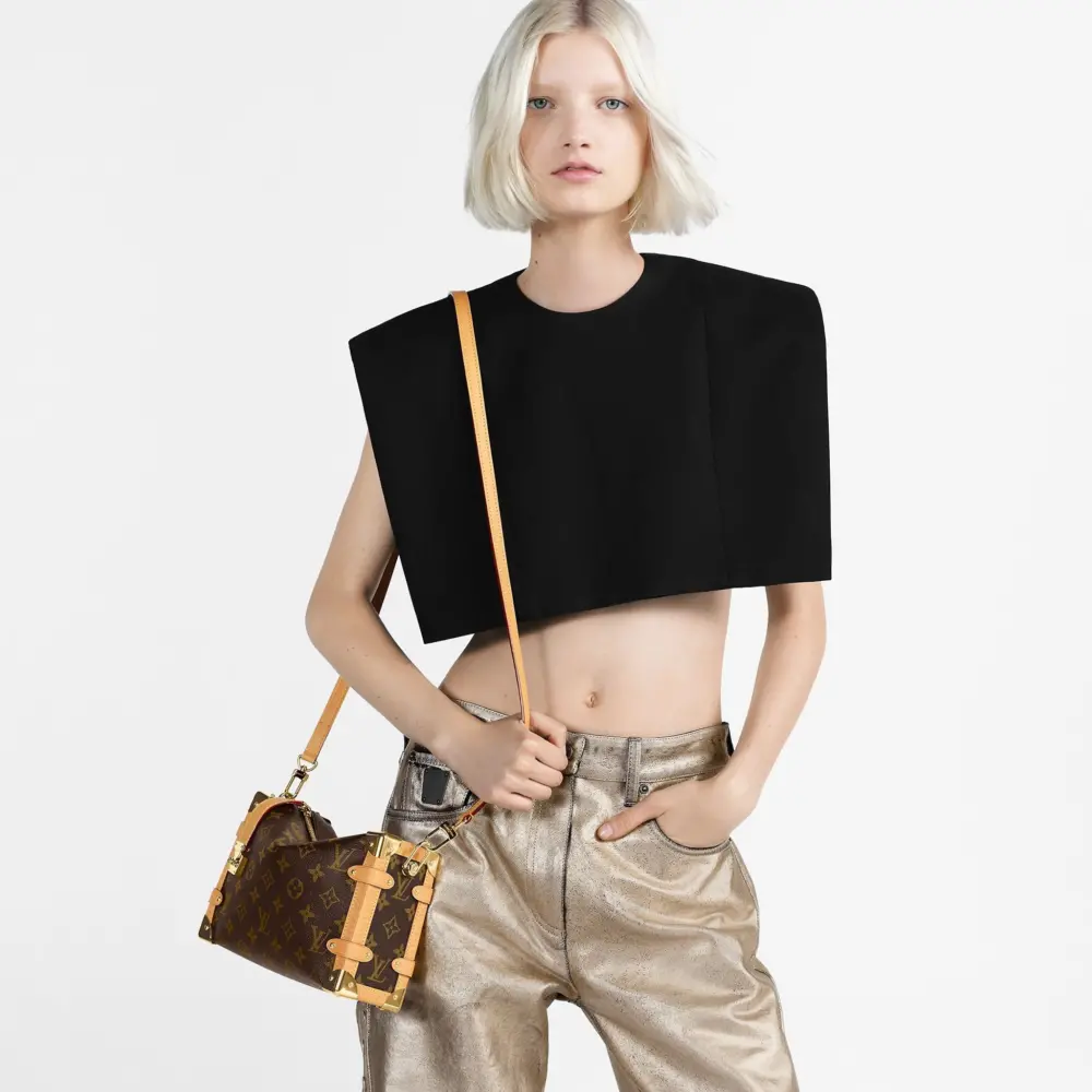 Túi Louis Vuitton Side Trunk PM Bag 'Monogram Coated' M46358 - Ảnh 4