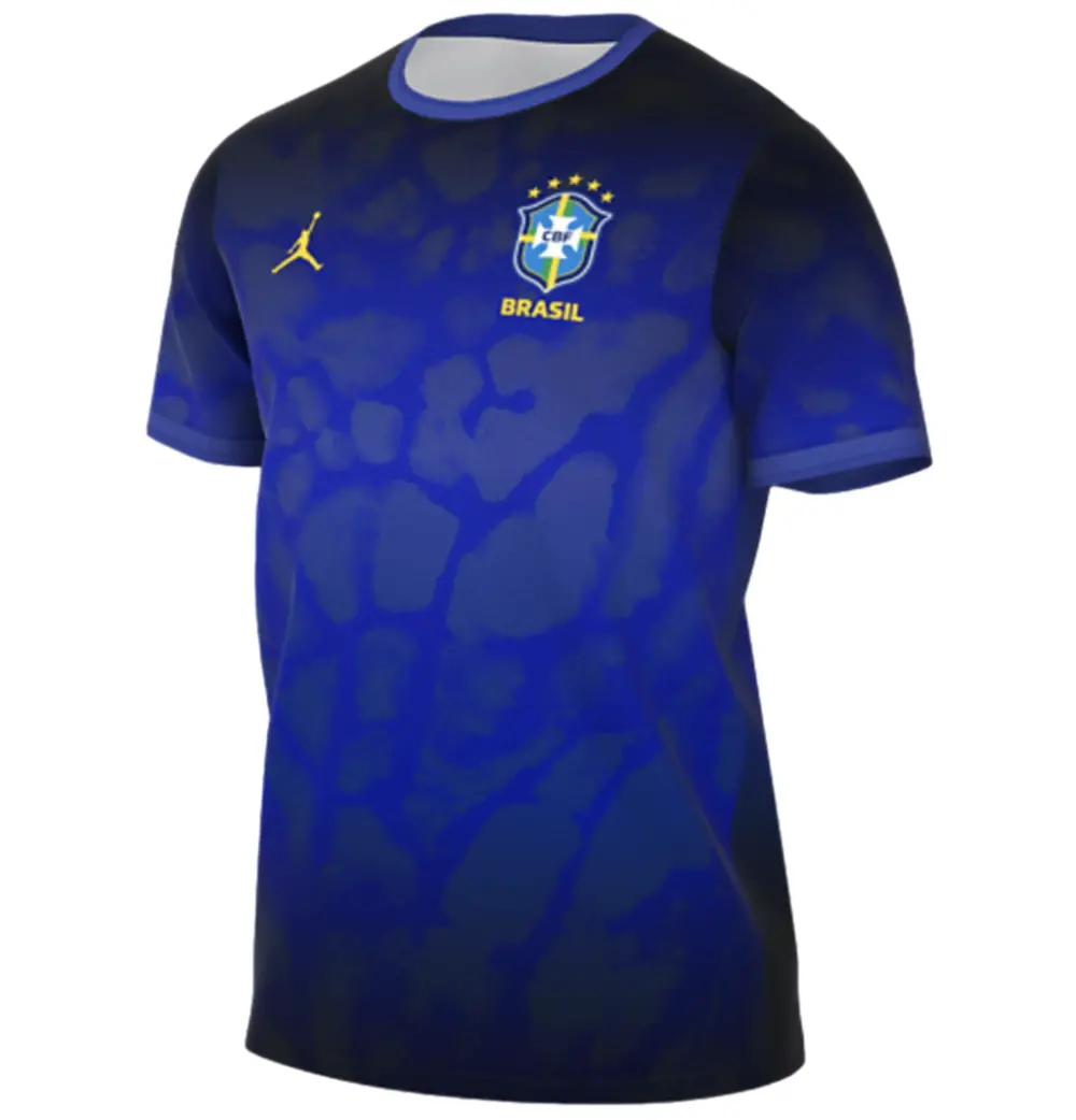 Áo Nike Brazil Academy Pro Jersey IH1659-405