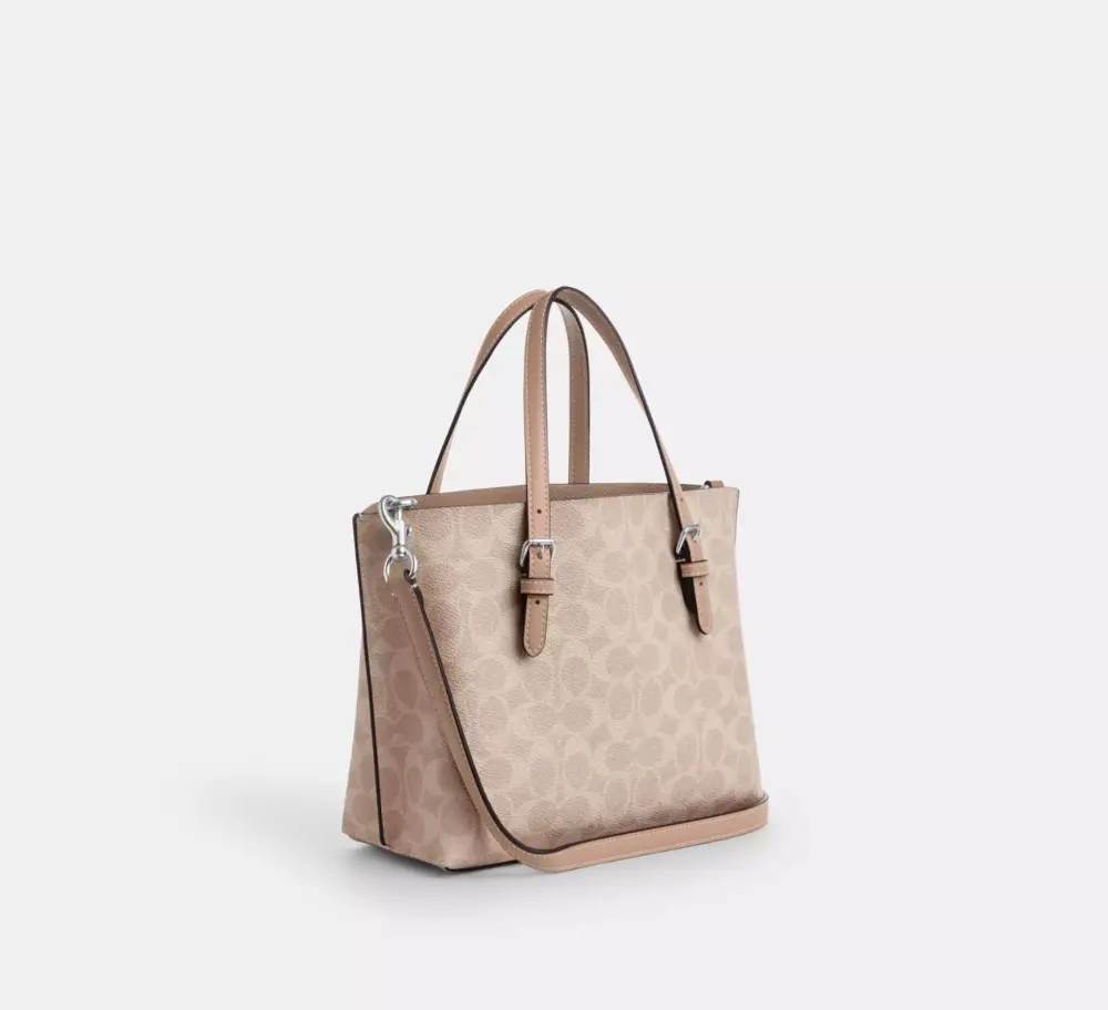 Túi Nữ Coach Mollie Tote Bag 25 'Taupe' CV965-SVPWH - Ảnh 4