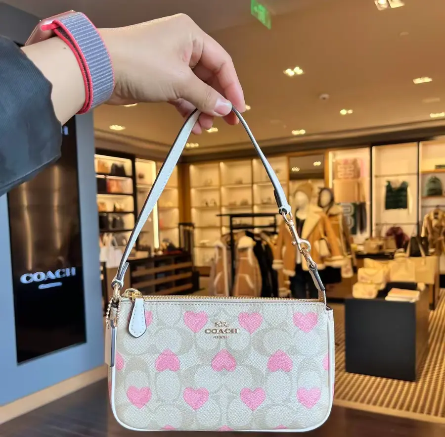 Túi Coach Nolita 19 In Signature Canvas 'Beige' CQ144-NIMOTV - Ảnh 5