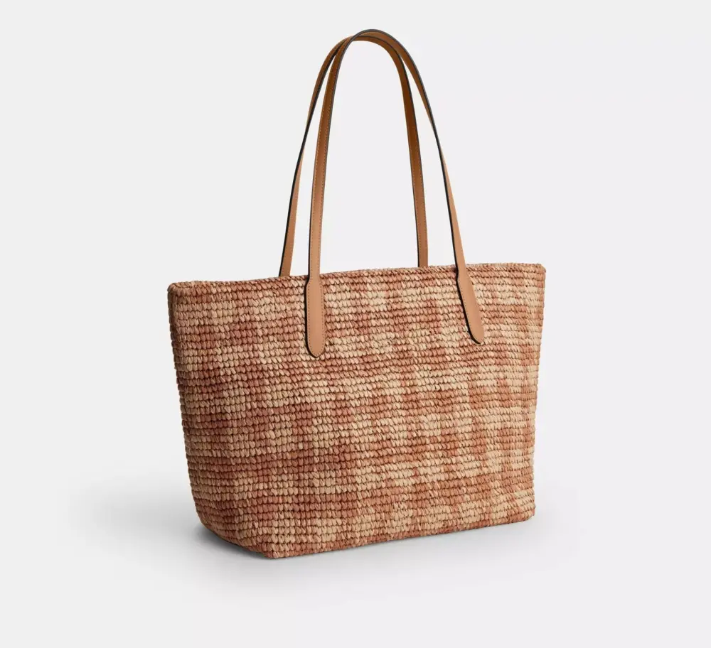 Túi Coach City Tote Bag Gingham Print 'Tan' CES22-IMTN2 - Ảnh 4