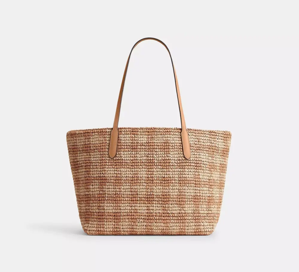 Túi Coach City Tote Bag Gingham Print 'Tan' CES22-IMTN2 - Ảnh 3