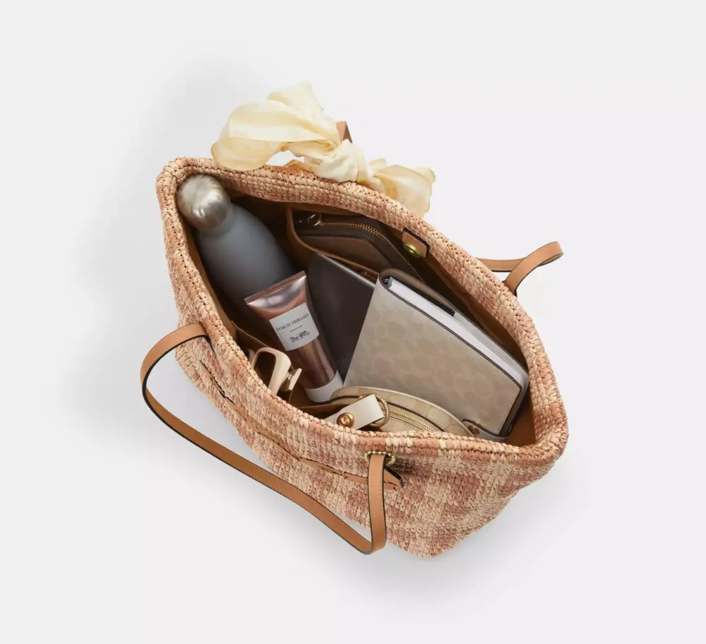 Túi Coach City Tote Bag Gingham Print 'Tan' CES22-IMTN2 - Ảnh 2