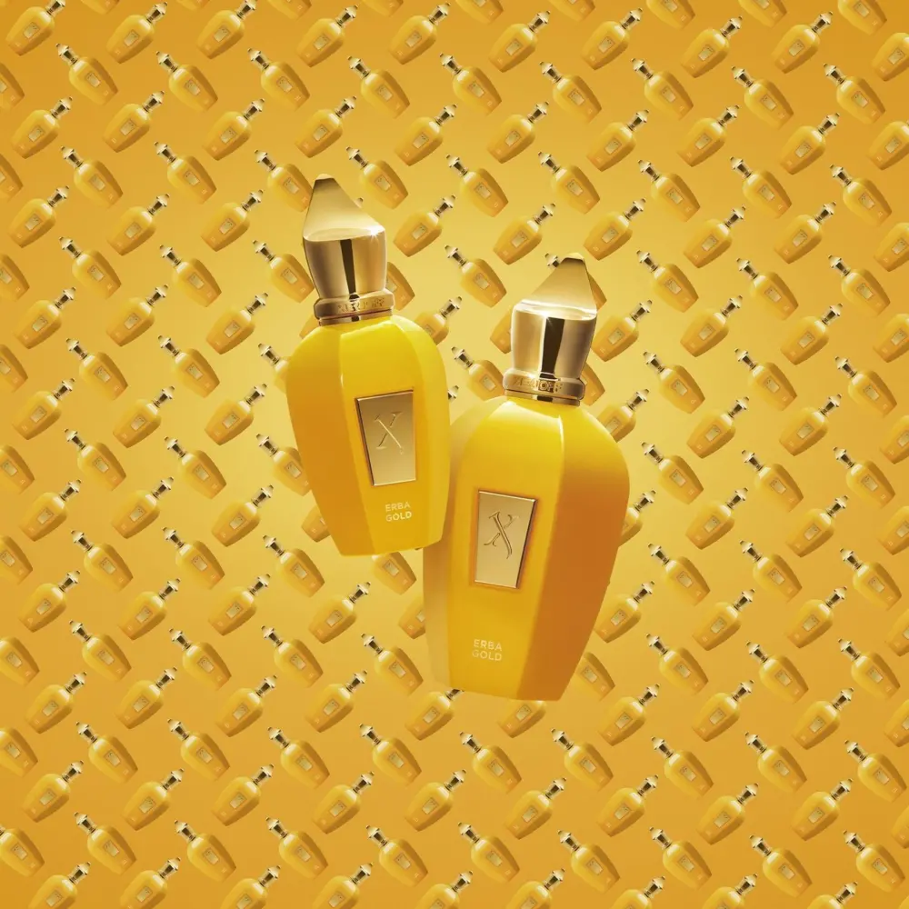 Nước Hoa Xerjoff Erba Gold EDP - Ảnh 4