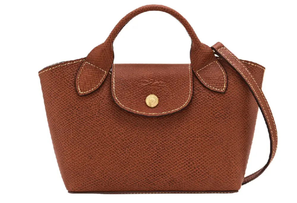 Túi Longchamp Épure XS Tote Bag 'Brown' 10319HYZ035