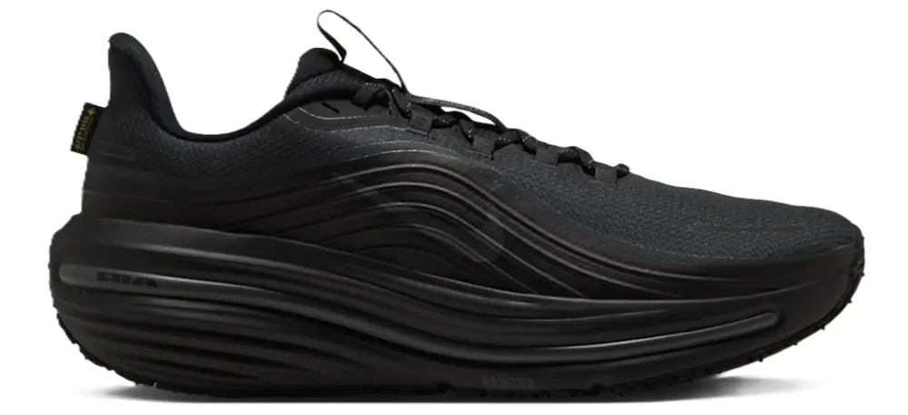 Giày Nike Winflo 12 GORE-TEX 'Black' IO7953-001