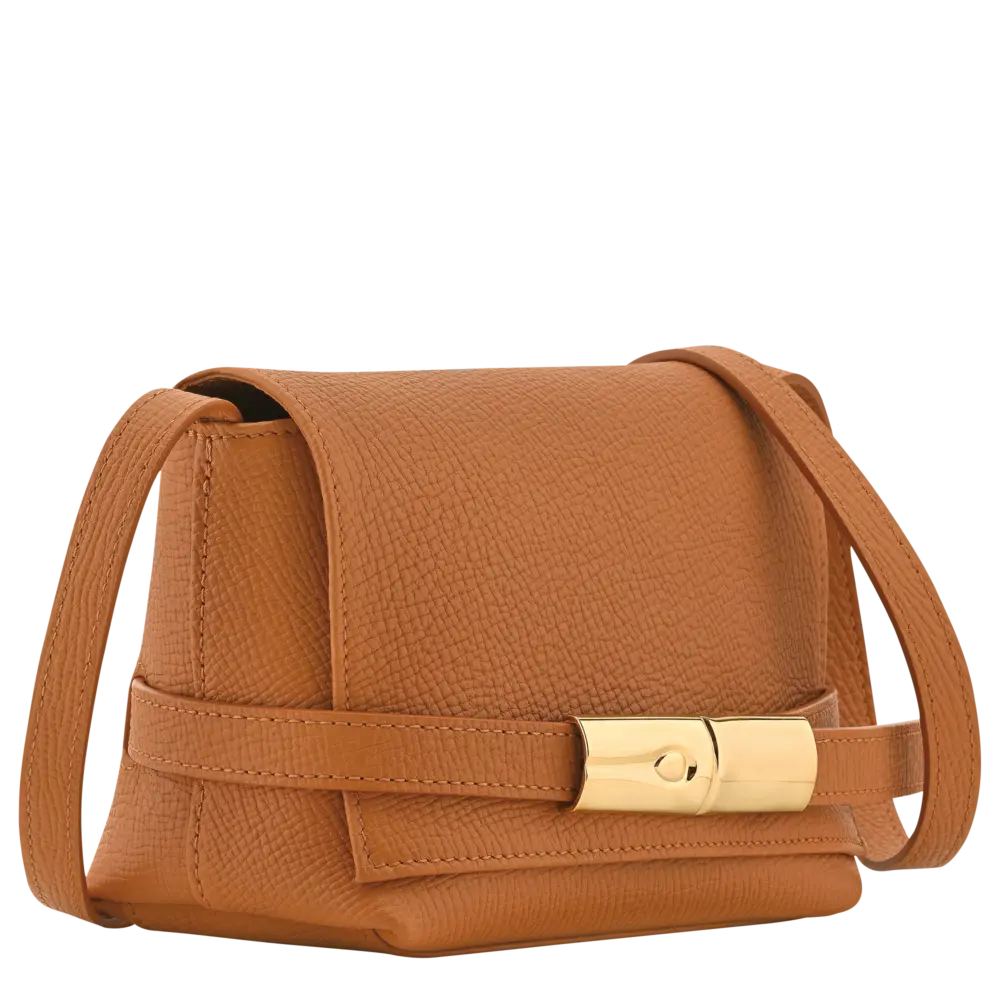 Túi Longchamp Le Smart S Crossbody Bag 'Caramel' 10392HJH121 - Ảnh 4