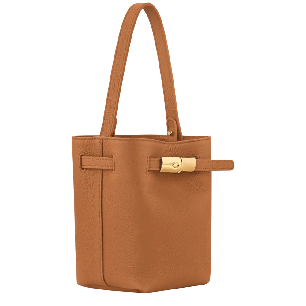 Túi Longchamp Le Smart XS Bucket Bag 'Caramel' 10397HJH121 - Ảnh 3