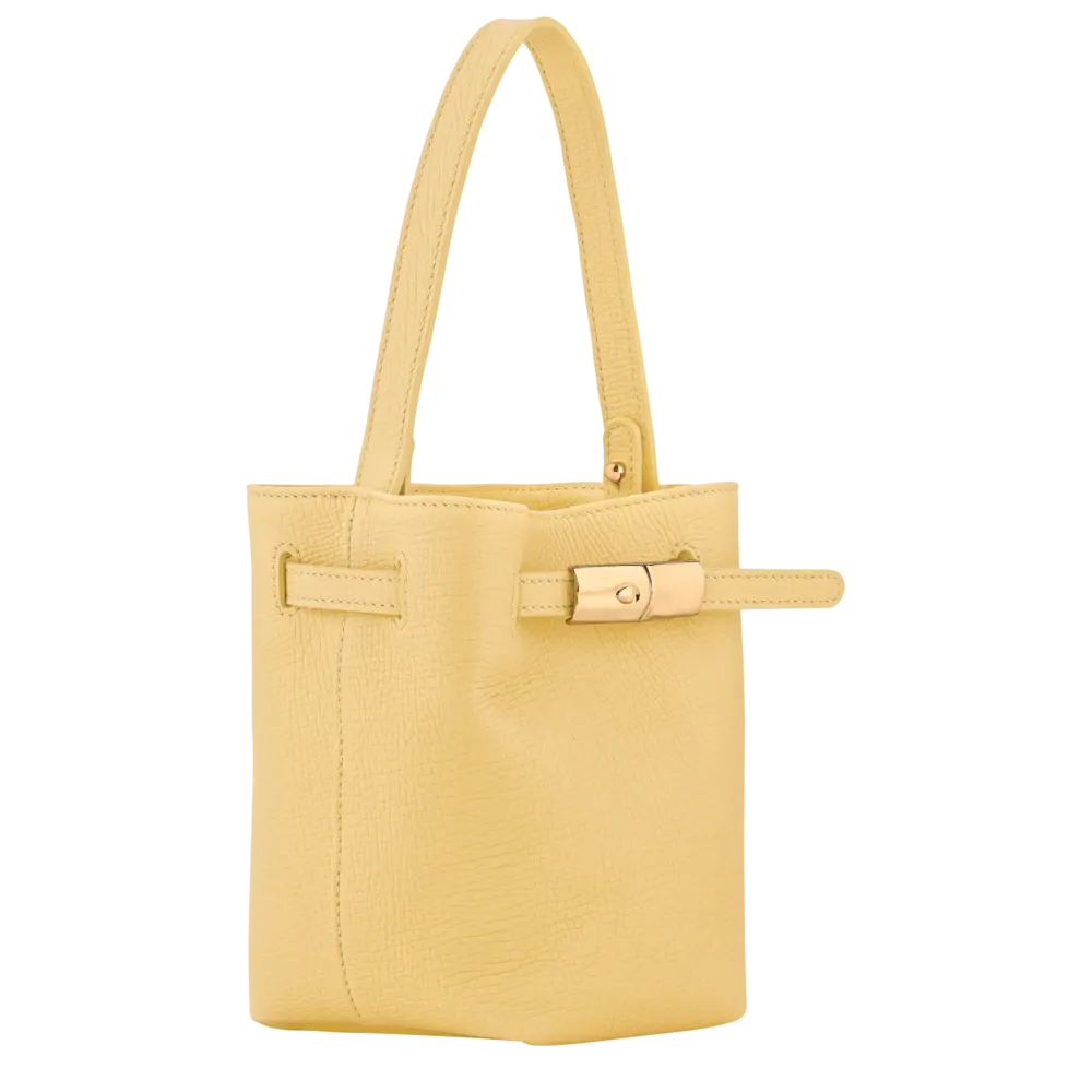 Túi Longchamp Le Smart XS Bucket Bag 'Hay' 10397HJHM73 - Ảnh 3